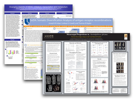 Decorative image of 3 research posters